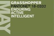 Grashopper, Pantone 18-0332: Enduring, active, intelligent